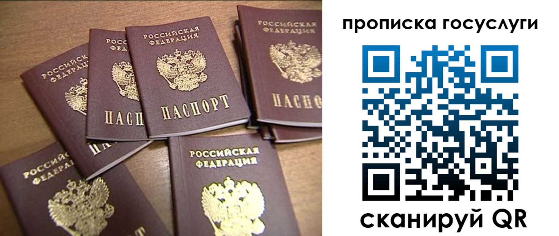 прописка ребенка в Видном